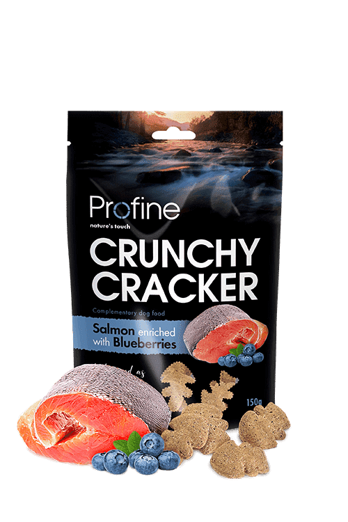 Profine Crunchy Cracker – Laks & blåbær