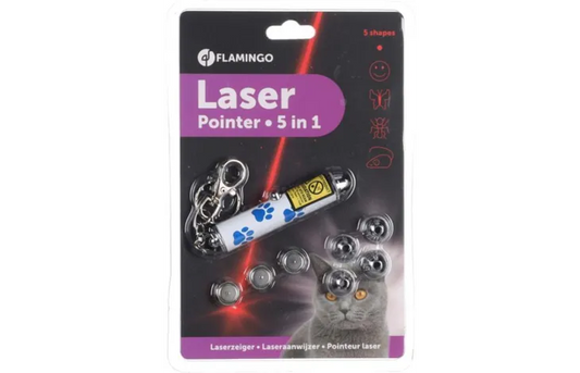 Laser pointer 5-i-1
